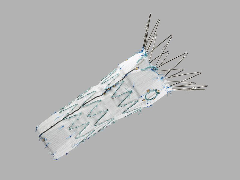 Endovascular stent graft / stainless steel 20 - 22 F | Zenith® Fenestrated AAA COOK Medical