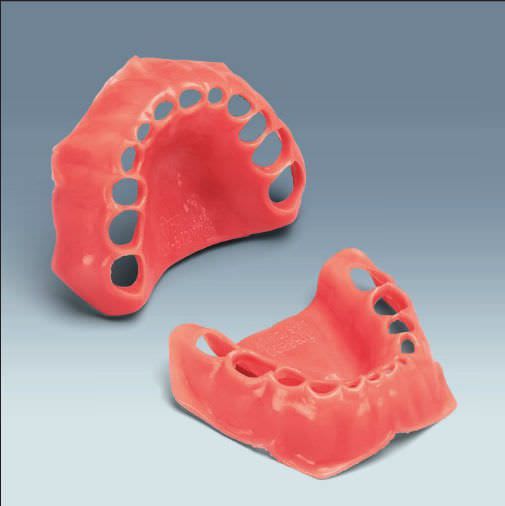 Gingival anatomical model AK-6/2 WOK frasaco