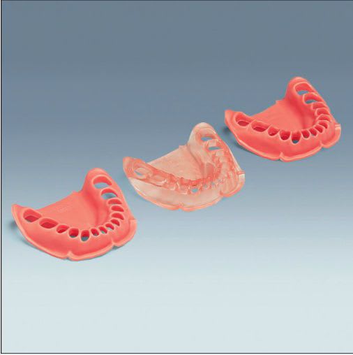 Gingival anatomical model AN-4 WUK frasaco