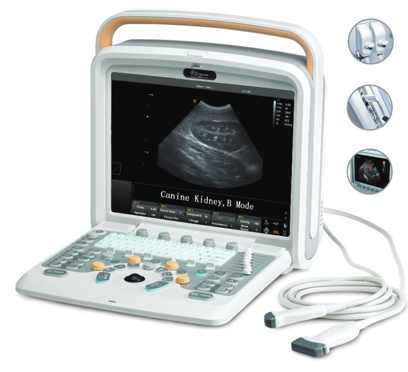 Portable veterinary ultrasound system GradyVet DUS 4200 Grady Medical Systems