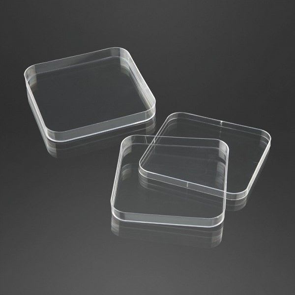 Square Petri dish 120 mm | 29080 F.L. Medical