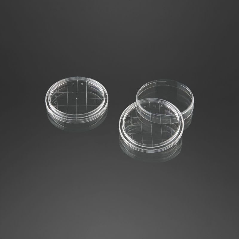 Petri dish with counting grid ø 55 mm | 29070 F.L. Medical