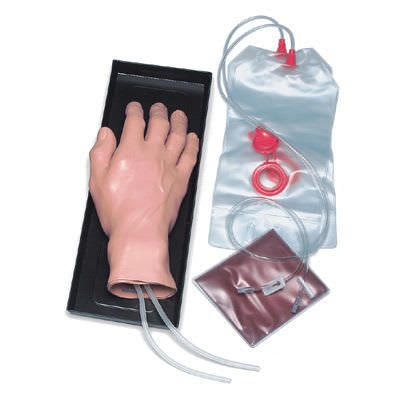 Intravenous injection training simulator W44600 3B Scientific