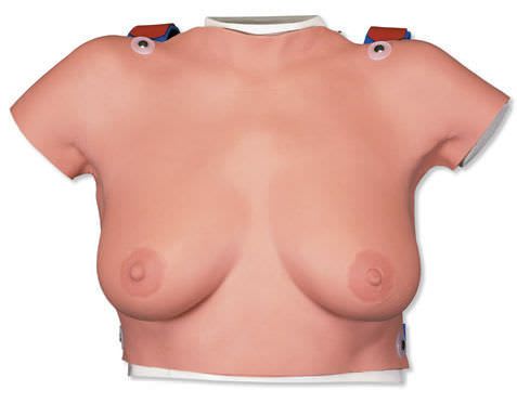 Breast massage anatomical model L51 3B Scientific