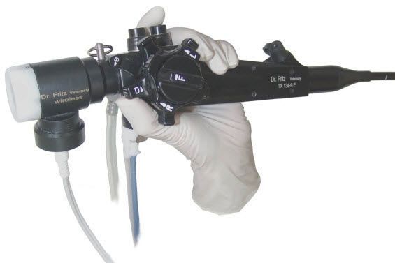 Bronchoscope veterinary video endoscope TX323-11FG Dr. Fritz GmbH