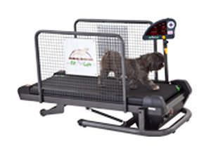 Dog treadmill SMALL Fit Fur Life