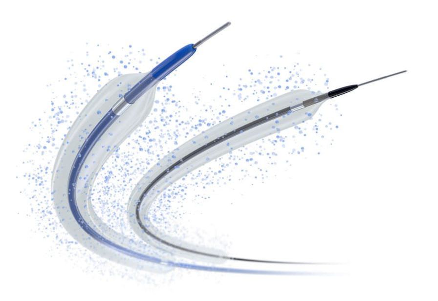 Dilatation catheter / peripheral / drug eluting / balloon FREEWAY™ 035 Eurocor