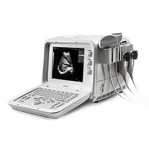 Portable ultrasound system / for multipurpose ultrasound imaging D3 EDAN INSTRUMENTS