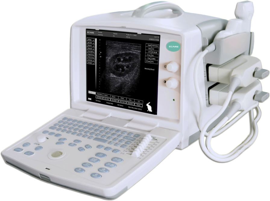 Portable veterinary ultrasound system EC3200/3400 Vet Ecare Medical Technology