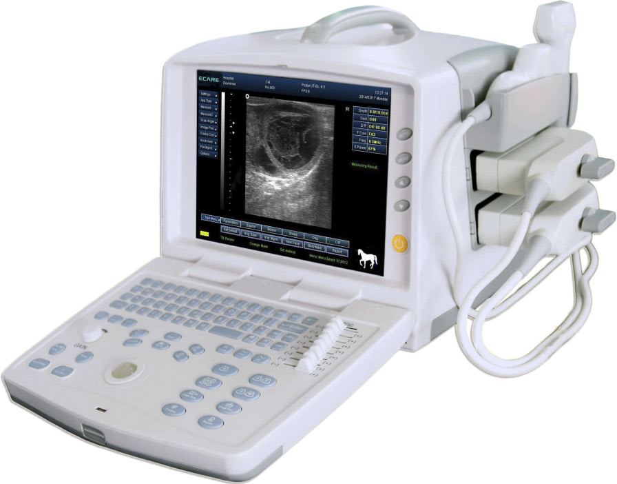 Portable veterinary ultrasound system Ecare-3300/3500 Vet Ecare Medical Technology