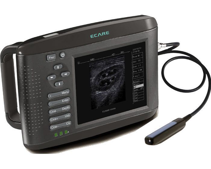 Hand-held veterinary ultrasound system EC6 Vet Ecare Medical Technology