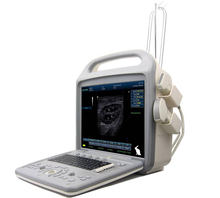 Veterinary doppler / bidirectional / portable EC50B Vet Ecare Medical Technology