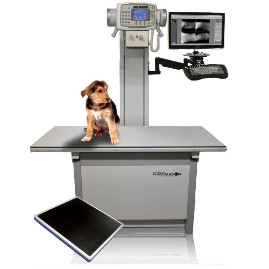 Veterinary X-ray radiology system DR 4300 Diagnostic Imaging Systems