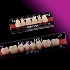 Acrylic resin dental prosthesis Cosmo HXL DENTSPLY DeguDent