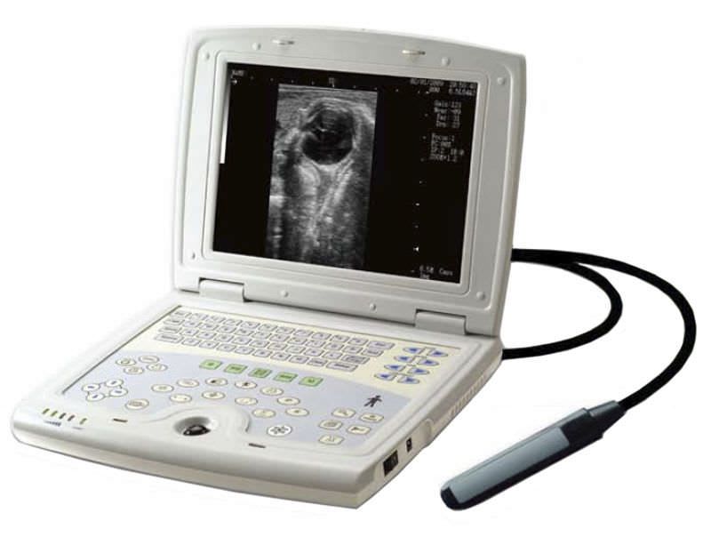 Portable veterinary ultrasound system UX5000V Digicare Biomedical Technology