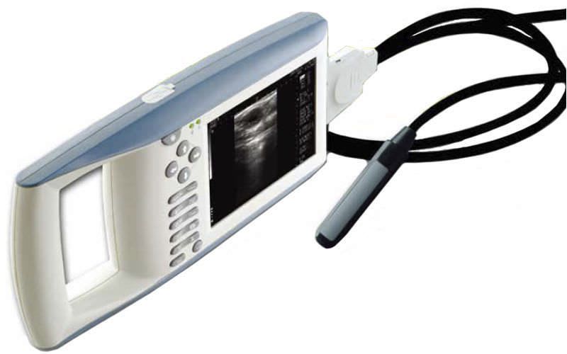 Hand-held veterinary ultrasound system UX5100V Digicare Biomedical Technology