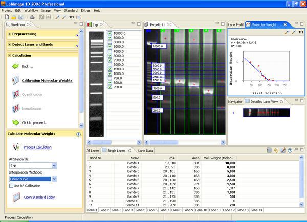 Analysis software / laboratory Labimage 1D Basic BIOTEC-FISCHER