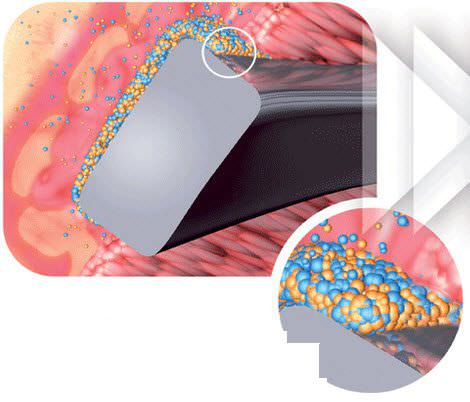 Coronary stent / drug eluting BioMatrix Flex™ Biosensors BV