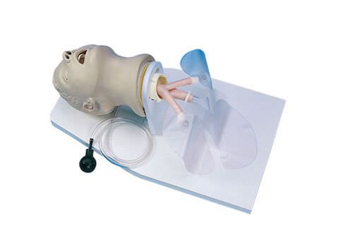 Intubation simulator / manual resuscitation AN3699 Adam, Rouilly