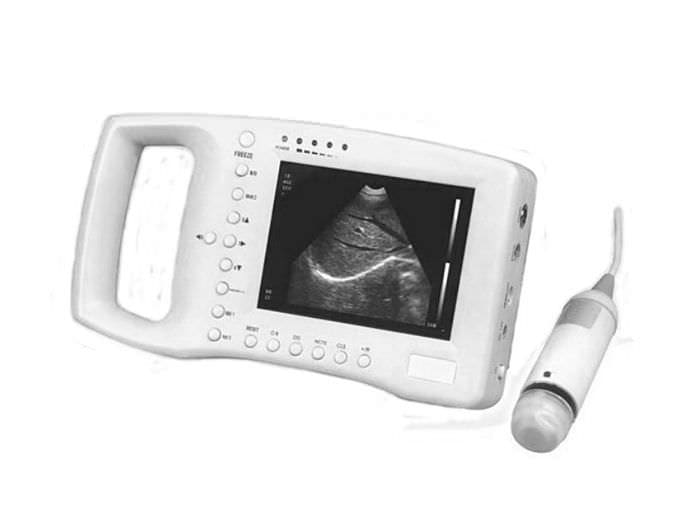 Hand-held ultrasound system / for multipurpose ultrasound imaging AV-2010 AMBISEA
