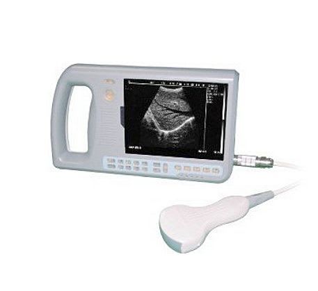 Hand-held ultrasound system / for multipurpose ultrasound imaging AV-3000 AMBISEA