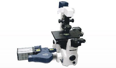 Biology microscope / laboratory / multiphoton laser scanning / confocal Opterra Bruker Nano Surface