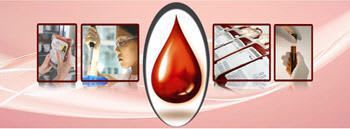 Management software / medical / for blood transfusion center Bloodbank Manager Prime Birlamedisoft