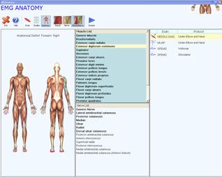 EMG software / medical Xegis Compumedics