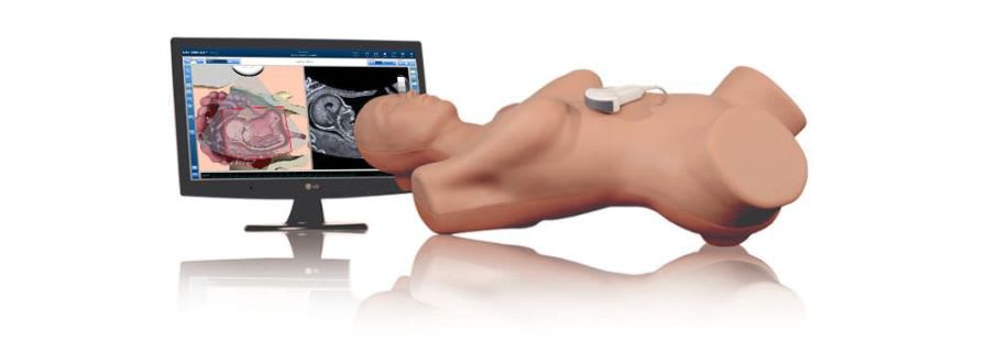 Ultrasound imaging test phantom / heart VIMEDIX Ob/Gyn CAE Healthcare