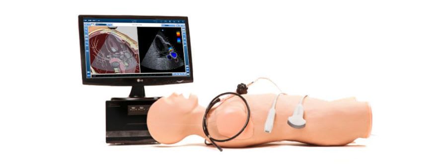 Ultrasound imaging test phantom / heart VIMEDIX CAE Healthcare