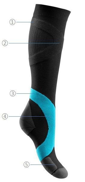 Socks (orthopedic clothing) / compression / unisex Training Bauerfeind