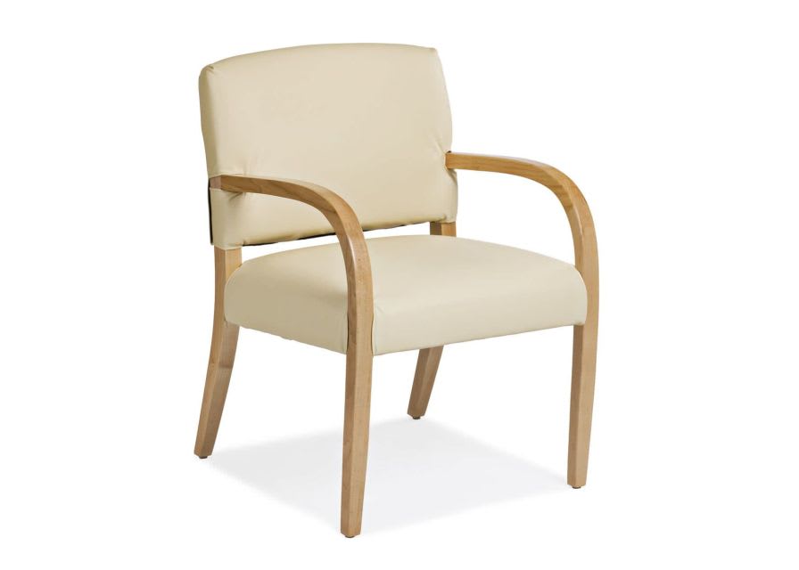 Chair with armrests Associate Cabot Wrenn Care
