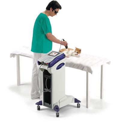 Surgical laser / diode / on trolley / veterinary Mphi Vet Trolley ASAveterinary