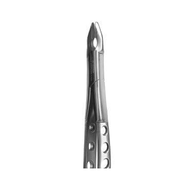 American dental extraction forceps Pattern - 1 A. Titan Instruments