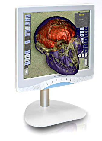 High-definition display / 3D / LCD / medical Dynamaxx Ampronix