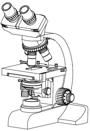 Laboratory microscope / optical / binocular ABM-105A, ABM-105B AccuBioTech